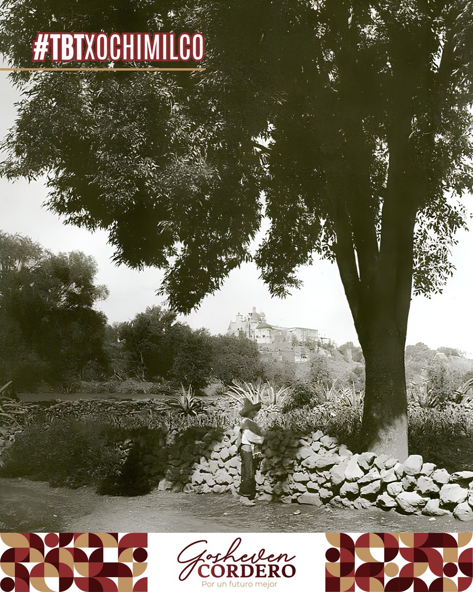GoshevenMX's tweet photo. Viajamos a 1920 con este #TBTXochimilco. 📸 Una estampa histórica de #SantaMaríaTepepan capturada por Hugo Brehme: camino de mampostería y el Templo en lo alto, construido sobre un antiguo adoratorio a Tonantzin. Valorar y preservar nuestro patrimonio es clave. 🇲🇽 https://t.co/Po1iUnSxT9