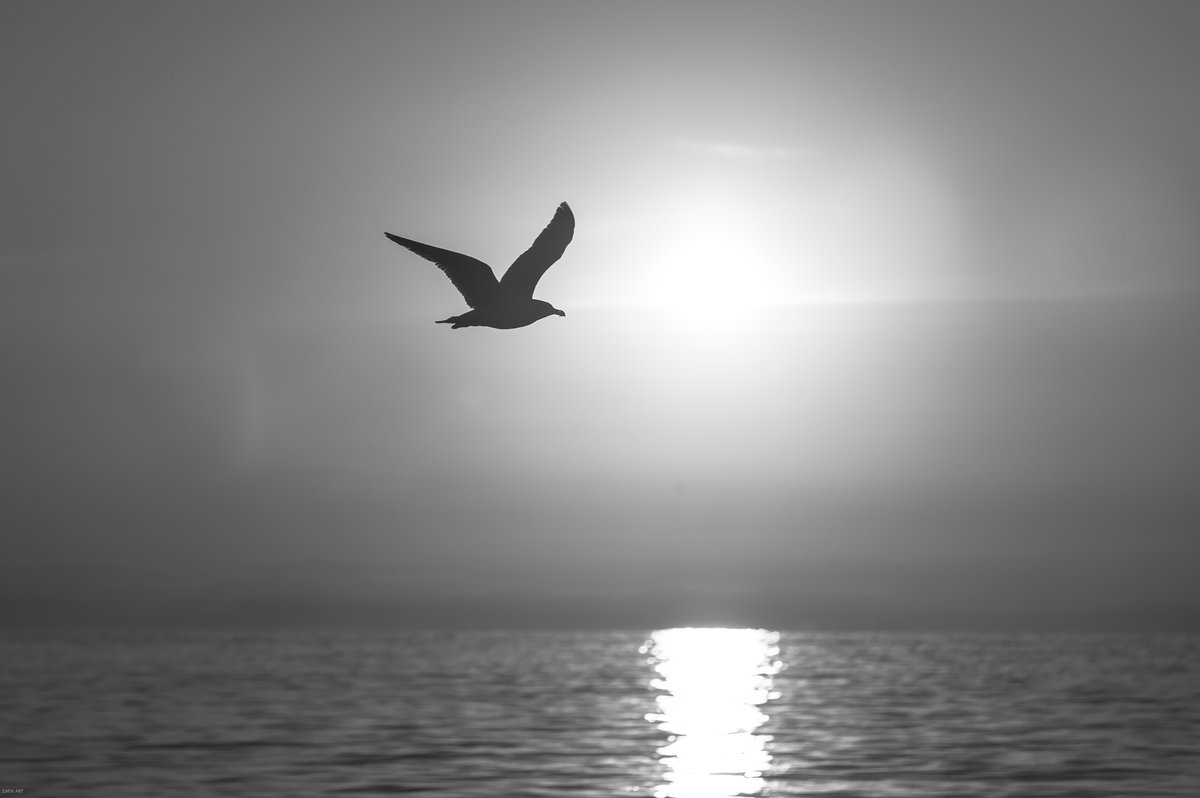Havenlust's tweet photo. Color or black &amp; white? https://t.co/EQi2wok40l