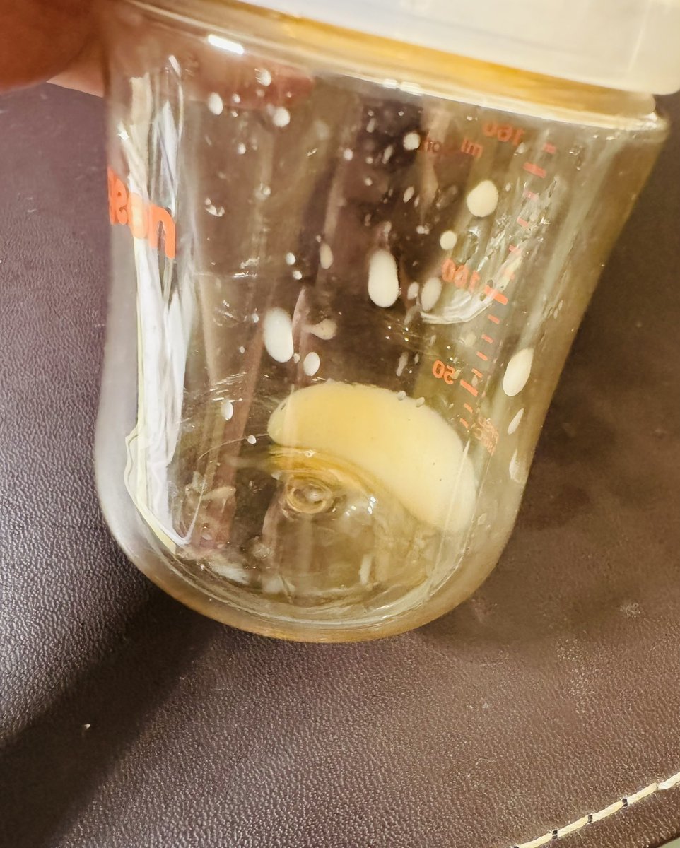 Wet_Dream366's tweet photo. 今夜の搾乳
量が増えてる https://t.co/do4QxCHWxk