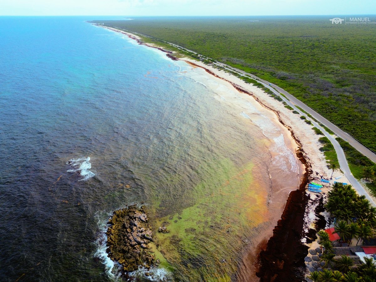 manuelvuela's tweet photo. The other side… 

Despite the sargassum, the scenary was still incredible from above 

#cozumel #caribemexicano #dji #dronephotography 

@DJIGlobal 
@cozumel_mio 
@CzmHotels https://t.co/mtaC89Exfl