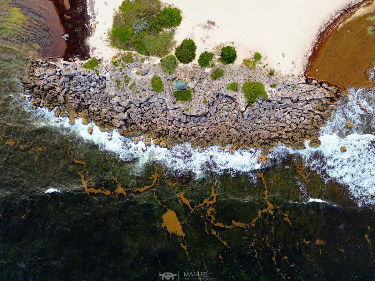manuelvuela's tweet photo. The other side… 

Despite the sargassum, the scenary was still incredible from above 

#cozumel #caribemexicano #dji #dronephotography 

@DJIGlobal 
@cozumel_mio 
@CzmHotels https://t.co/mtaC89Exfl