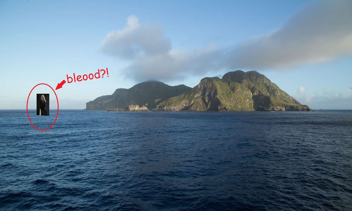 63EDI's tweet photo. Bleood caught sipping Drank in the atlantic ocean with some fish

"blub blub blub blub" says bleood in response https://t.co/UjcPYFvR3M