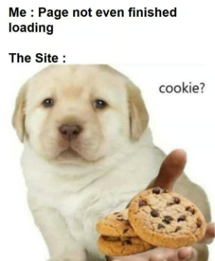QuieresWant's tweet photo. ¿Quieres un cookie? https://t.co/9uphZEWFDX
