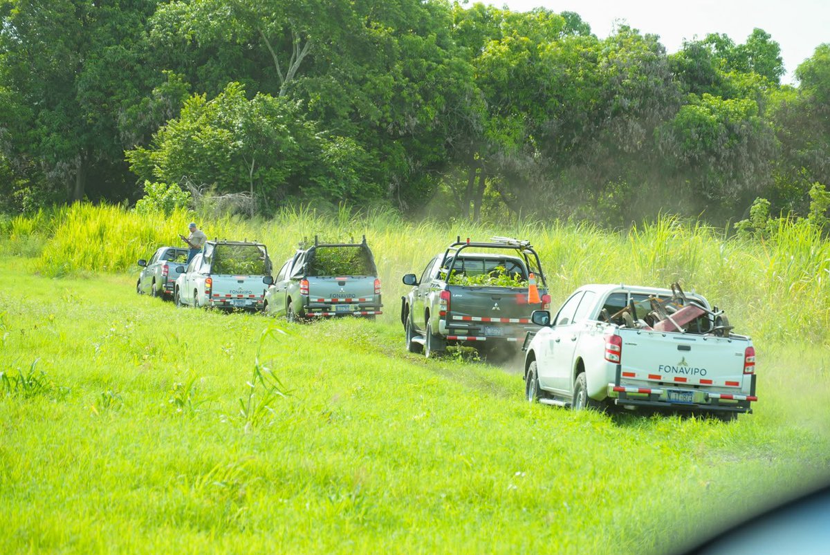ViviendaSV's tweet photo. Los equipos de FONAVIPO realizaron  una jornada de arborización en la zona protegidas Santa Clara, San Luis Talpa, esta acción involucra a todo el personal como parte de nuestro compromiso con El Salvador más Verde.

En la actividad se lograron sembrar 400 árboles. 🌱 https://t.co/ph2MhxLAvp