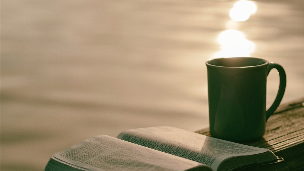 Rajwant20557195's tweet photo. Chilling with a warm cup of coffee and a good book on a lazy Sunday—this is the perfect way to slow down and unwind. https://t.co/MaSRmknmmb