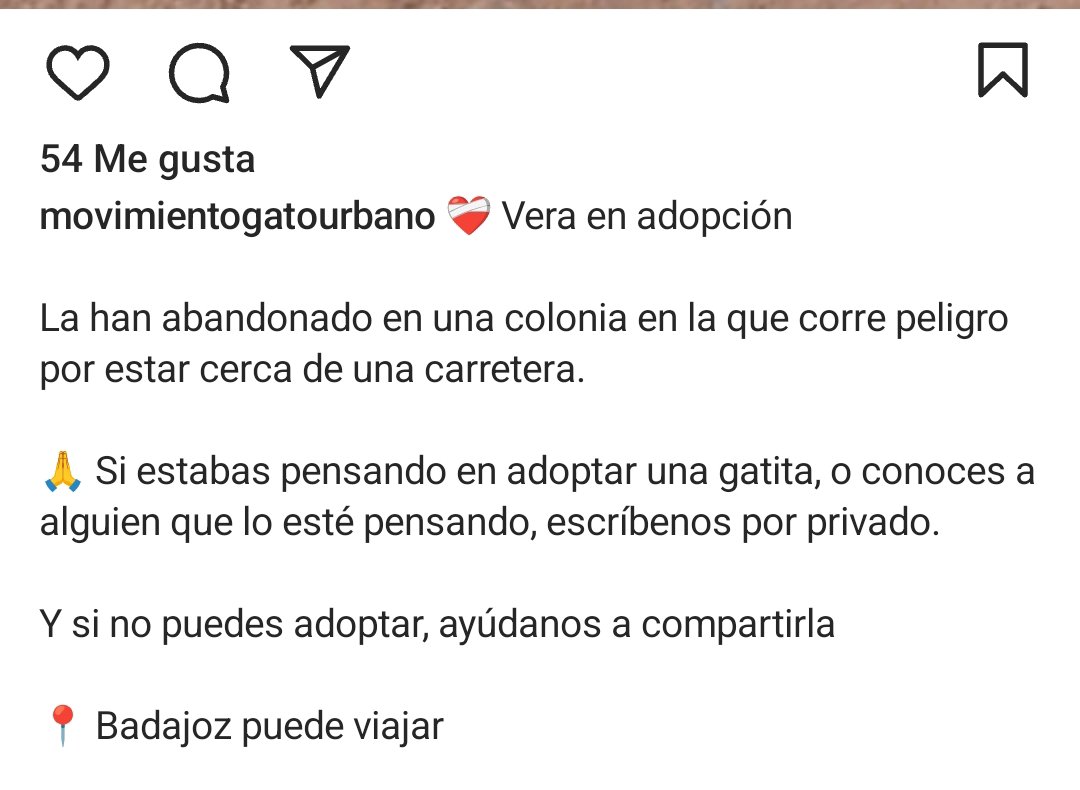 john_doe1237's tweet photo. PORFAVOR ES SOLO UN BEBE ABANDONADO NECESITA UN HOGAR URGENTE VENGA X HAZ MAGIA 🙏🙏🙏 🆘🆘🆘🆘 https://t.co/ix3pneVbMX
