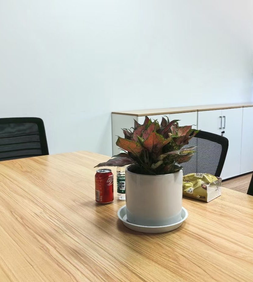 Vanize6's tweet photo. Just finished 2 meetings and got 10 whole minutes of quiet—gonna spend it staring at the plant by my desk, no work-related tabs open. Work-life balance More like work-life micro-break balance. https://t.co/6Gn9kCUGRH