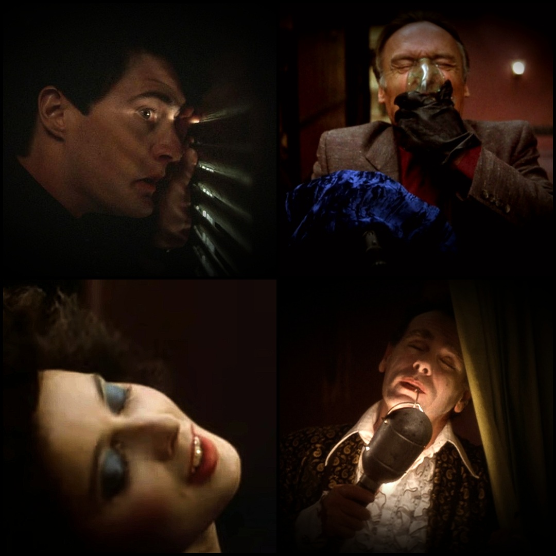 choppingwoodpod's tweet photo. "In dreams you're mine... all of the time" https://t.co/UsiAMlvJpm