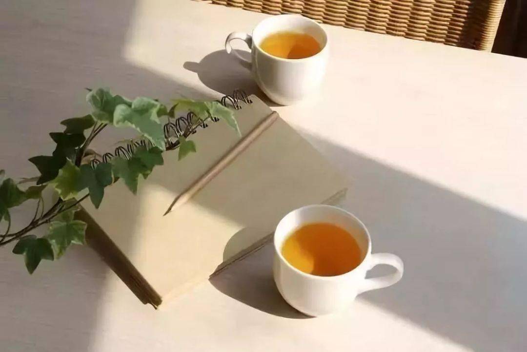 AddieHankemtc3's tweet photo. Cozy rainy Sunday at home: a warm cup of coffee, a good book, and soft sunlight filtering through the window – perfect little moments to recharge. https://t.co/GgPV4adY3p