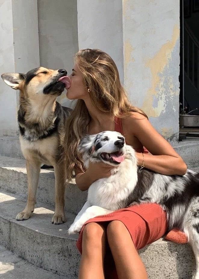 yunjilee123's tweet photo. Exclusive K9 sessions.
Only for those who can handle it.
Link in bio
#dogs #K9 #Germany https://t.co/YfdMPYF4d7