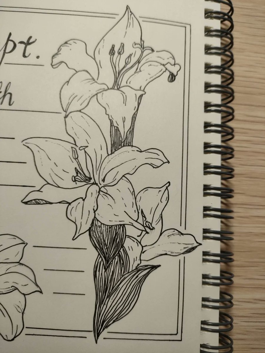leafamaniac's tweet photo. Tired of scrolling Try a 10-minute daily sketching session! No experience needed—just a pen and paper. Watch your creativity bloom gradually. https://t.co/OP61aEnctZ