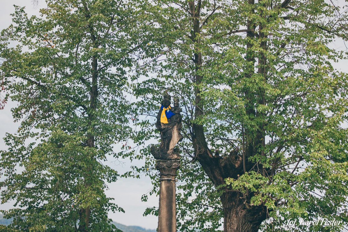 PPotworow's tweet photo. Potworów 🇵🇱 https://t.co/JoX5paxEXn