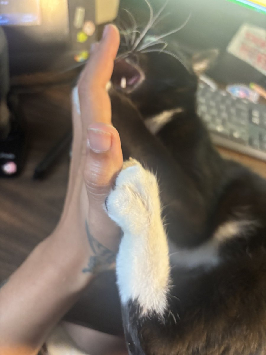 momopatchi tweet picture