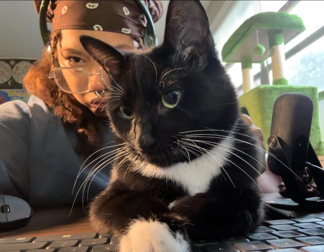 momopatchi tweet picture