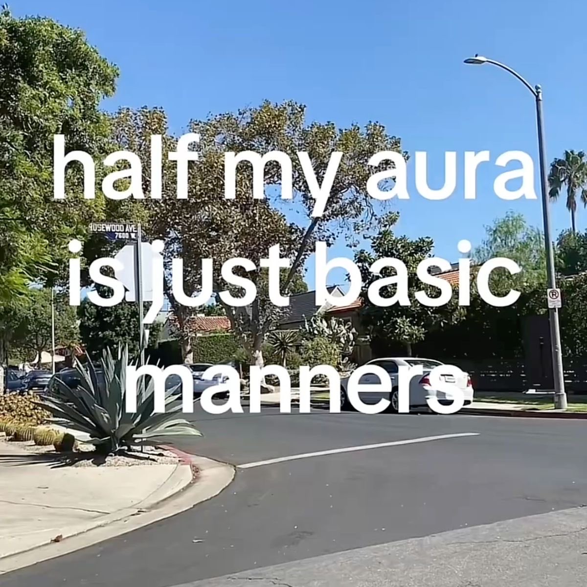 umlarp's tweet photo. https://t.co/PnDgi6hS4y