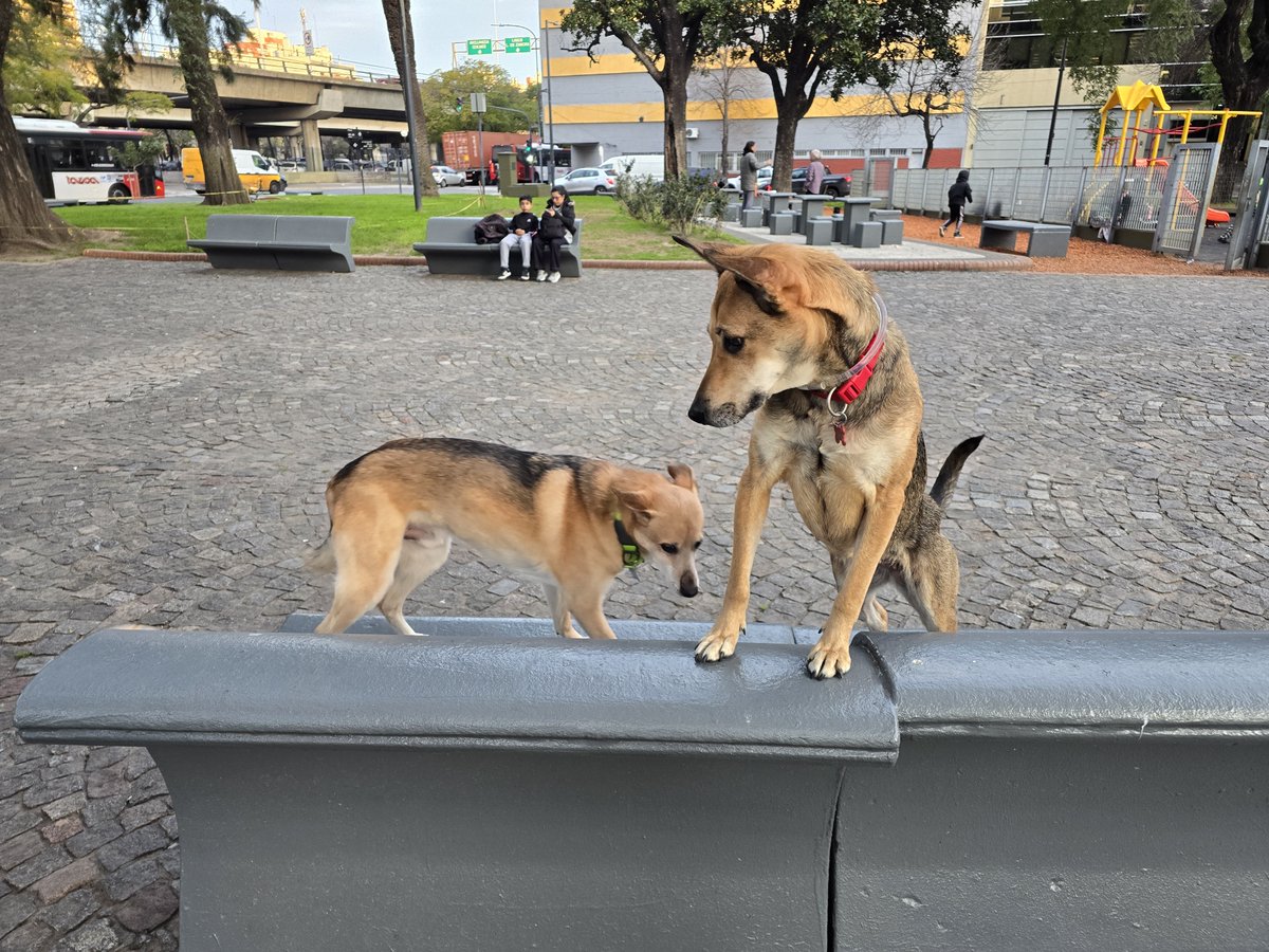 JungParkAR's tweet photo. Aqui dejo mas fotos ya que algunos remarcaron que no se la ve bien en detalle en los videos. https://t.co/6nD3Al1fhM