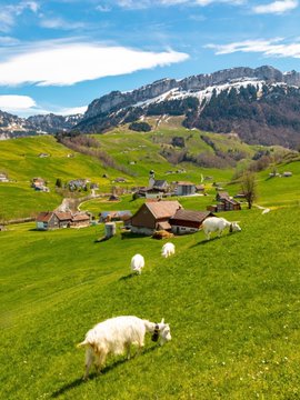 Jennifer56888's tweet photo. Sometimes the most beautiful places still can’t quiet a heavy heart. Wish I could just disappear into these mountains for a while. 🏔️💔#PeaceofMind #CountrySide https://t.co/ytEdcrIPQY