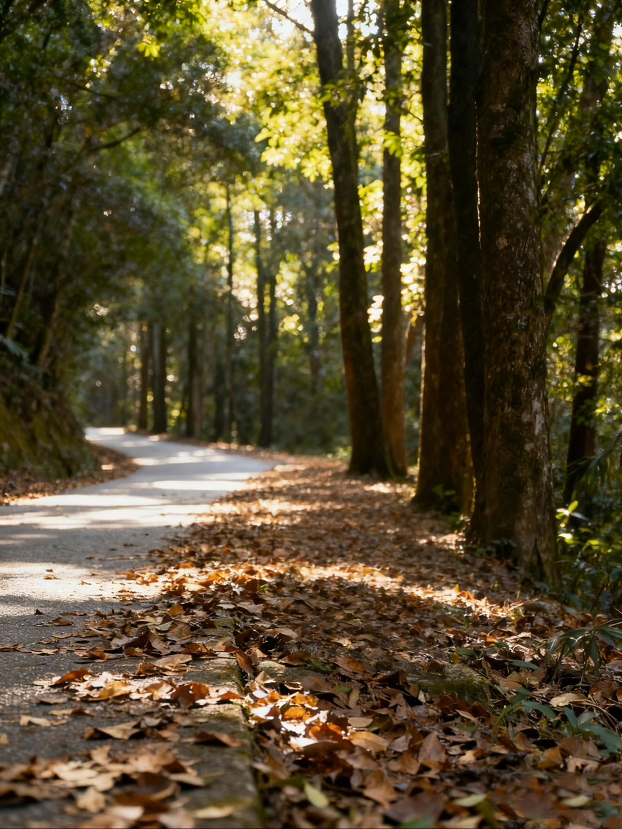 rBGtD33xlUIHBPN's tweet photo. Cool autumn breeze brings cozy vibes and golden leaves  Perfect time for a walk!， https://t.co/7g4JESSuDG