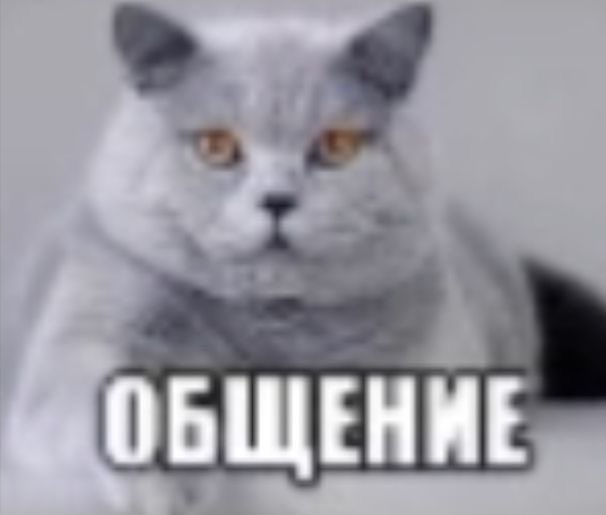 bansleep's tweet photo. @darunavvyyf я ток што зашел в свой старый акк твиттера и хочу его возродить давай дружитьььь https://t.co/Pf3x1LnnxV
