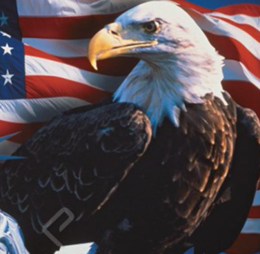 farheen_anum's tweet photo. Show your pride! 🇺🇸 
Like, retweet, and follow every patriot in the comments!
@rentfrowryan
@TheStraySaint
@cloud1a7
@wifeofcloud
@Cloud2a7cloud1a
@socdoc100
@truthnetwork24
@shel_is_tired
@EstherFinn38
@EasterlingLu https://t.co/UDqic0jWPw