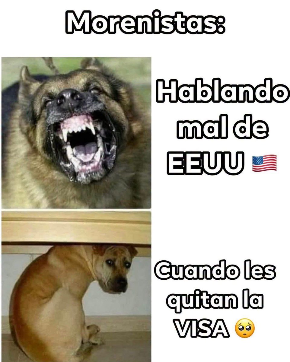 NestorHdz10's tweet photo. Así la hipocresía morenarca @fueramorena https://t.co/Ai8lMRsBKs