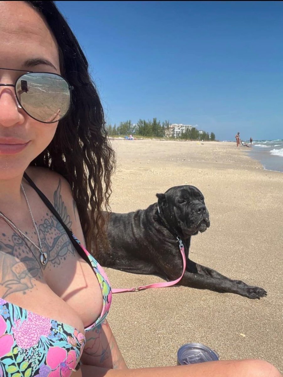 CannibalCu8f3d's tweet photo. Zoo model who gives pleasure to her dogs because she likes it so much dog!

https://t.co/nQSfkE0HIn https://t.co/e88yLIFXQx