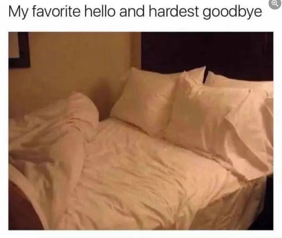 WholesomeMeme's tweet photo. https://t.co/Bmtg7wHOEI