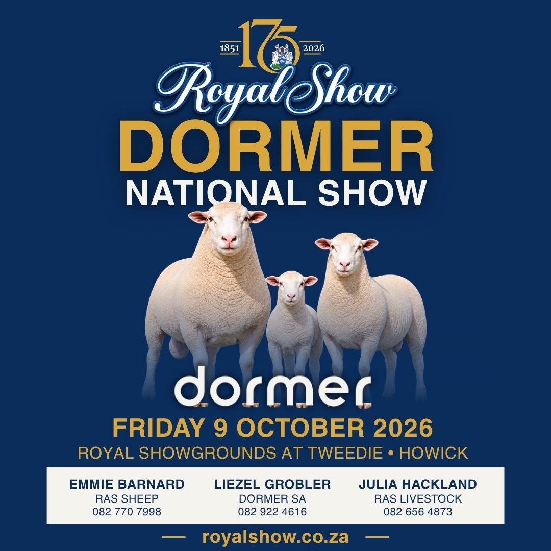 RoyalShowKZN's tweet photo. 𝗕𝗥𝗜𝗡𝗚 𝗬𝗢𝗨𝗥 𝗕𝗘𝗦𝗧 𝗗𝗢𝗥𝗠𝗘𝗥𝗦 𝗧𝗢 𝗧𝗛𝗘 𝗥𝗢𝗬𝗔𝗟 🏆🐑

For a breeder, a major show is about much more than what happens during a few minutes in the ring.

It is an opportunity to put years of breeding, selection and hard work in front of fellow breeders, farmers, judges and the wider agricultural community. And at the Royal Show, those achievements find a warm spotlight.

Over recent years, 𝗗𝗼𝗿𝗺𝗲𝗿 𝗖𝗵𝗮𝗺𝗽𝗶𝗼𝗻𝘀 𝗮𝗻𝗱 𝗚𝗿𝗮𝗻𝗱 𝗖𝗵𝗮𝗺𝗽𝗶𝗼𝗻𝘀 at the Royal have formed part of a proud record of achievement in the sheep ring. Some have gone on to further honours in the Royal’s interbreed competition, earning the coveted 𝗥𝗼𝘆𝗮𝗹 𝗦𝗵𝗼𝘄 𝗦𝘂𝗽𝗿𝗲𝗺𝗲 𝗖𝗵𝗮𝗺𝗽𝗶𝗼𝗻 – 𝗚𝗼𝗹𝗱 𝗖𝘂𝗽 title. 

In 2026, the Royal platform becomes even more significant.

𝗧𝗵𝗲 𝗗𝗼𝗿𝗺𝗲𝗿 𝗡𝗮𝘁𝗶𝗼𝗻𝗮𝗹 𝗦𝗵𝗼𝘄 comes to the Royal during our landmark 𝟭𝟳𝟱𝘁𝗵 𝗮𝗻𝗻𝗶𝘃𝗲𝗿𝘀𝗮𝗿𝘆 𝘆𝗲𝗮𝗿, bringing leading Dormer breeders and some of South Africa's finest stud sheep together at our new Royal Showgrounds at Tweedie.

For breeders considering their entries, it is an opportunity to compete for 𝗻𝗮𝘁𝗶𝗼𝗻𝗮𝗹 𝗵𝗼𝗻𝗼𝘂𝗿𝘀 𝗼𝗻 𝗼𝗻𝗲 𝗼𝗳 𝗦𝗼𝘂𝘁𝗵 𝗔𝗳𝗿𝗶𝗰𝗮𝗻 𝗮𝗴𝗿𝗶𝗰𝘂𝗹𝘁𝘂𝗿𝗲'𝘀 𝗵𝗶𝘀𝘁𝗼𝗿𝗶𝗰 𝘀𝗵𝗼𝘄 𝗽𝗹𝗮𝘁𝗳𝗼𝗿𝗺𝘀 — and to put their best animals to the test alongside leading Dormers from across the country. 

🏆 𝗗𝗢𝗥𝗠𝗘𝗥 𝗡𝗔𝗧𝗜𝗢𝗡𝗔𝗟 𝗦𝗛𝗢𝗪
📅 𝗙𝗿𝗶𝗱𝗮𝘆, 𝟵 𝗢𝗰𝘁𝗼𝗯𝗲𝗿 𝟮𝟬𝟮𝟲
📍 𝗥𝗼𝘆𝗮𝗹 𝗦𝗵𝗼𝘄𝗴𝗿𝗼𝘂𝗻𝗱𝘀 𝗮𝘁 𝗧𝘄𝗲𝗲𝗱𝗶𝗲 • 𝗛𝗼𝘄𝗶𝗰𝗸

To find out more and download the 𝗲𝗻𝘁𝗿𝘆 𝗳𝗼𝗿𝗺, visit the Royal Show website under 𝗔𝗴𝗿𝗶𝗰𝘂𝗹𝘁𝘂𝗿𝗲 → 𝗗𝗼𝗿𝗺𝗲𝗿 𝗡𝗮𝘁𝗶𝗼𝗻𝗮𝗹 𝗦𝗵𝗼𝘄. 

#RoyalShow2026 #DormerNationalShow #DormerSheep #RoyalShow175  #RoyalAgriculturalSociety
