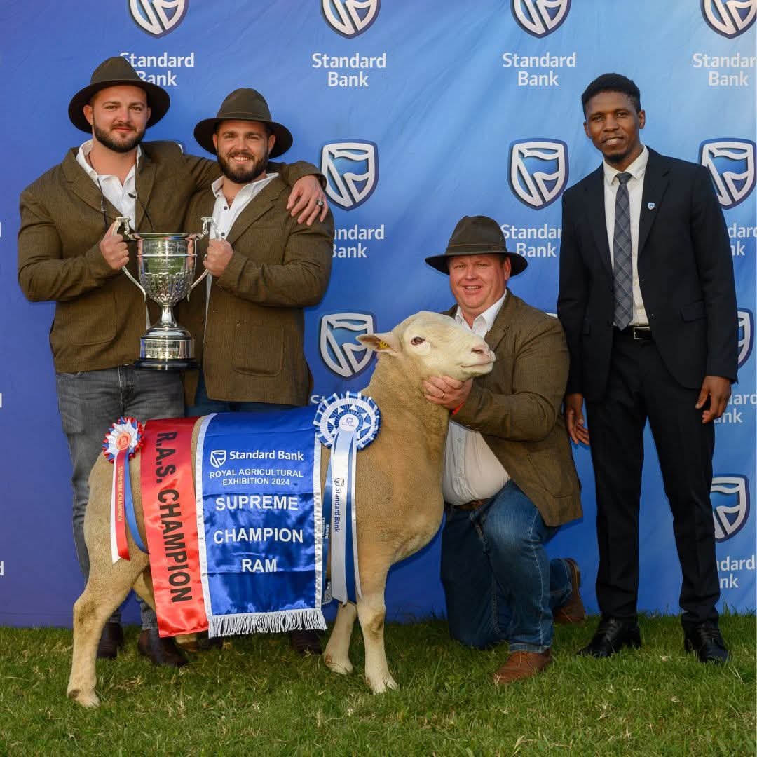 RoyalShowKZN's tweet photo. 𝗕𝗥𝗜𝗡𝗚 𝗬𝗢𝗨𝗥 𝗕𝗘𝗦𝗧 𝗗𝗢𝗥𝗠𝗘𝗥𝗦 𝗧𝗢 𝗧𝗛𝗘 𝗥𝗢𝗬𝗔𝗟 🏆🐑

For a breeder, a major show is about much more than what happens during a few minutes in the ring.

It is an opportunity to put years of breeding, selection and hard work in front of fellow breeders, farmers, judges and the wider agricultural community. And at the Royal Show, those achievements find a warm spotlight.

Over recent years, 𝗗𝗼𝗿𝗺𝗲𝗿 𝗖𝗵𝗮𝗺𝗽𝗶𝗼𝗻𝘀 𝗮𝗻𝗱 𝗚𝗿𝗮𝗻𝗱 𝗖𝗵𝗮𝗺𝗽𝗶𝗼𝗻𝘀 at the Royal have formed part of a proud record of achievement in the sheep ring. Some have gone on to further honours in the Royal’s interbreed competition, earning the coveted 𝗥𝗼𝘆𝗮𝗹 𝗦𝗵𝗼𝘄 𝗦𝘂𝗽𝗿𝗲𝗺𝗲 𝗖𝗵𝗮𝗺𝗽𝗶𝗼𝗻 – 𝗚𝗼𝗹𝗱 𝗖𝘂𝗽 title. 

In 2026, the Royal platform becomes even more significant.

𝗧𝗵𝗲 𝗗𝗼𝗿𝗺𝗲𝗿 𝗡𝗮𝘁𝗶𝗼𝗻𝗮𝗹 𝗦𝗵𝗼𝘄 comes to the Royal during our landmark 𝟭𝟳𝟱𝘁𝗵 𝗮𝗻𝗻𝗶𝘃𝗲𝗿𝘀𝗮𝗿𝘆 𝘆𝗲𝗮𝗿, bringing leading Dormer breeders and some of South Africa's finest stud sheep together at our new Royal Showgrounds at Tweedie.

For breeders considering their entries, it is an opportunity to compete for 𝗻𝗮𝘁𝗶𝗼𝗻𝗮𝗹 𝗵𝗼𝗻𝗼𝘂𝗿𝘀 𝗼𝗻 𝗼𝗻𝗲 𝗼𝗳 𝗦𝗼𝘂𝘁𝗵 𝗔𝗳𝗿𝗶𝗰𝗮𝗻 𝗮𝗴𝗿𝗶𝗰𝘂𝗹𝘁𝘂𝗿𝗲'𝘀 𝗵𝗶𝘀𝘁𝗼𝗿𝗶𝗰 𝘀𝗵𝗼𝘄 𝗽𝗹𝗮𝘁𝗳𝗼𝗿𝗺𝘀 — and to put their best animals to the test alongside leading Dormers from across the country. 

🏆 𝗗𝗢𝗥𝗠𝗘𝗥 𝗡𝗔𝗧𝗜𝗢𝗡𝗔𝗟 𝗦𝗛𝗢𝗪
📅 𝗙𝗿𝗶𝗱𝗮𝘆, 𝟵 𝗢𝗰𝘁𝗼𝗯𝗲𝗿 𝟮𝟬𝟮𝟲
📍 𝗥𝗼𝘆𝗮𝗹 𝗦𝗵𝗼𝘄𝗴𝗿𝗼𝘂𝗻𝗱𝘀 𝗮𝘁 𝗧𝘄𝗲𝗲𝗱𝗶𝗲 • 𝗛𝗼𝘄𝗶𝗰𝗸

To find out more and download the 𝗲𝗻𝘁𝗿𝘆 𝗳𝗼𝗿𝗺, visit the Royal Show website under 𝗔𝗴𝗿𝗶𝗰𝘂𝗹𝘁𝘂𝗿𝗲 → 𝗗𝗼𝗿𝗺𝗲𝗿 𝗡𝗮𝘁𝗶𝗼𝗻𝗮𝗹 𝗦𝗵𝗼𝘄. 

#RoyalShow2026 #DormerNationalShow #DormerSheep #RoyalShow175  #RoyalAgriculturalSociety