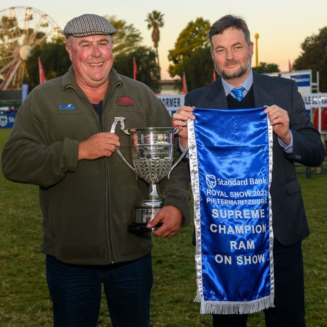 RoyalShowKZN's tweet photo. 𝗕𝗥𝗜𝗡𝗚 𝗬𝗢𝗨𝗥 𝗕𝗘𝗦𝗧 𝗗𝗢𝗥𝗠𝗘𝗥𝗦 𝗧𝗢 𝗧𝗛𝗘 𝗥𝗢𝗬𝗔𝗟 🏆🐑

For a breeder, a major show is about much more than what happens during a few minutes in the ring.

It is an opportunity to put years of breeding, selection and hard work in front of fellow breeders, farmers, judges and the wider agricultural community. And at the Royal Show, those achievements find a warm spotlight.

Over recent years, 𝗗𝗼𝗿𝗺𝗲𝗿 𝗖𝗵𝗮𝗺𝗽𝗶𝗼𝗻𝘀 𝗮𝗻𝗱 𝗚𝗿𝗮𝗻𝗱 𝗖𝗵𝗮𝗺𝗽𝗶𝗼𝗻𝘀 at the Royal have formed part of a proud record of achievement in the sheep ring. Some have gone on to further honours in the Royal’s interbreed competition, earning the coveted 𝗥𝗼𝘆𝗮𝗹 𝗦𝗵𝗼𝘄 𝗦𝘂𝗽𝗿𝗲𝗺𝗲 𝗖𝗵𝗮𝗺𝗽𝗶𝗼𝗻 – 𝗚𝗼𝗹𝗱 𝗖𝘂𝗽 title. 

In 2026, the Royal platform becomes even more significant.

𝗧𝗵𝗲 𝗗𝗼𝗿𝗺𝗲𝗿 𝗡𝗮𝘁𝗶𝗼𝗻𝗮𝗹 𝗦𝗵𝗼𝘄 comes to the Royal during our landmark 𝟭𝟳𝟱𝘁𝗵 𝗮𝗻𝗻𝗶𝘃𝗲𝗿𝘀𝗮𝗿𝘆 𝘆𝗲𝗮𝗿, bringing leading Dormer breeders and some of South Africa's finest stud sheep together at our new Royal Showgrounds at Tweedie.

For breeders considering their entries, it is an opportunity to compete for 𝗻𝗮𝘁𝗶𝗼𝗻𝗮𝗹 𝗵𝗼𝗻𝗼𝘂𝗿𝘀 𝗼𝗻 𝗼𝗻𝗲 𝗼𝗳 𝗦𝗼𝘂𝘁𝗵 𝗔𝗳𝗿𝗶𝗰𝗮𝗻 𝗮𝗴𝗿𝗶𝗰𝘂𝗹𝘁𝘂𝗿𝗲'𝘀 𝗵𝗶𝘀𝘁𝗼𝗿𝗶𝗰 𝘀𝗵𝗼𝘄 𝗽𝗹𝗮𝘁𝗳𝗼𝗿𝗺𝘀 — and to put their best animals to the test alongside leading Dormers from across the country. 

🏆 𝗗𝗢𝗥𝗠𝗘𝗥 𝗡𝗔𝗧𝗜𝗢𝗡𝗔𝗟 𝗦𝗛𝗢𝗪
📅 𝗙𝗿𝗶𝗱𝗮𝘆, 𝟵 𝗢𝗰𝘁𝗼𝗯𝗲𝗿 𝟮𝟬𝟮𝟲
📍 𝗥𝗼𝘆𝗮𝗹 𝗦𝗵𝗼𝘄𝗴𝗿𝗼𝘂𝗻𝗱𝘀 𝗮𝘁 𝗧𝘄𝗲𝗲𝗱𝗶𝗲 • 𝗛𝗼𝘄𝗶𝗰𝗸

To find out more and download the 𝗲𝗻𝘁𝗿𝘆 𝗳𝗼𝗿𝗺, visit the Royal Show website under 𝗔𝗴𝗿𝗶𝗰𝘂𝗹𝘁𝘂𝗿𝗲 → 𝗗𝗼𝗿𝗺𝗲𝗿 𝗡𝗮𝘁𝗶𝗼𝗻𝗮𝗹 𝗦𝗵𝗼𝘄. 

#RoyalShow2026 #DormerNationalShow #DormerSheep #RoyalShow175  #RoyalAgriculturalSociety