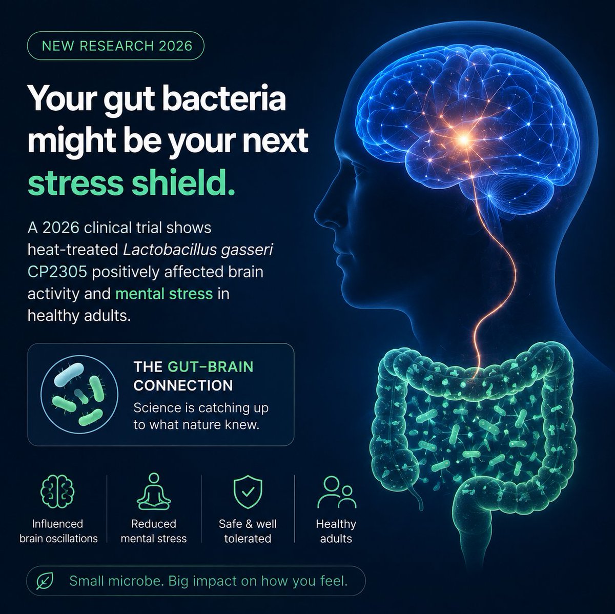 luggageandbaggs's tweet photo. Mental stress isn’t always “in your head.” 

A 2026 trial found that heat-treated Lactobacillus gasseri CP2305 influenced brain activity and mental stress in healthy adults. 

The gut–brain link is getting harder to ignore.

🔗https://t.co/241vOSTSYZ https://t.co/c5RK5IWVKu