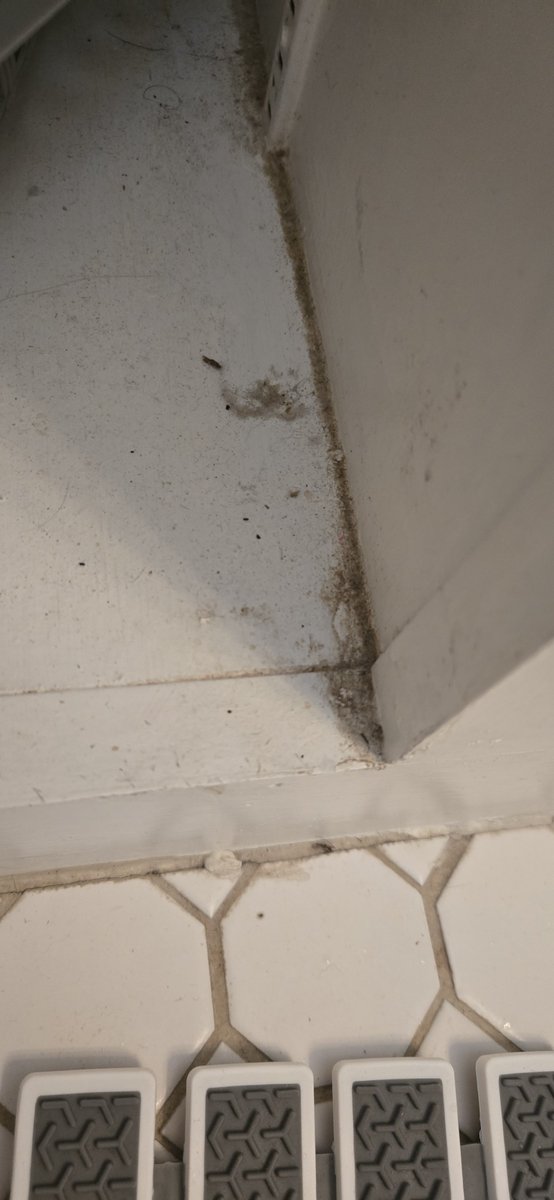 JennaBTrue's tweet photo. @Airbnb @AirbnbHelp this is why people are moving back to hotels. You charge for cleaning but don't actually require the homes to be clean. You charge high rates and we get disgust for our money. https://t.co/mCzCyza7tp