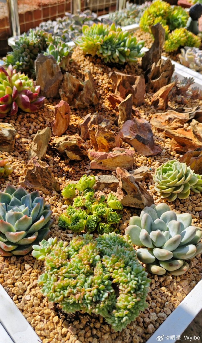 Noel41546554's tweet photo. Transform your desk into a calm, productivity-focused zone with just small tweaks: a minimal notebook, potted succulent, and a side of natural light—simple changes make big workday wins.， https://t.co/N5Hlc5irGl