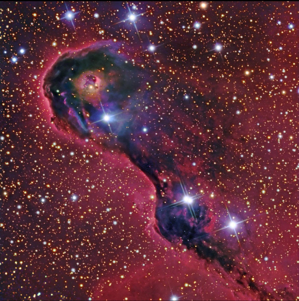 FactWireFW's tweet photo. This looks like a giant creature floating in space. 👀🌌
It’s actually the Elephant’s Trunk Nebula — a huge cloud of gas and dust where young stars are forming.
The “trunk” stretches for more than 20 light-years.
Space is absolutely unreal. 🤯

#Space #NASA #Astronomy https://t.co/UrmgEjpQDy