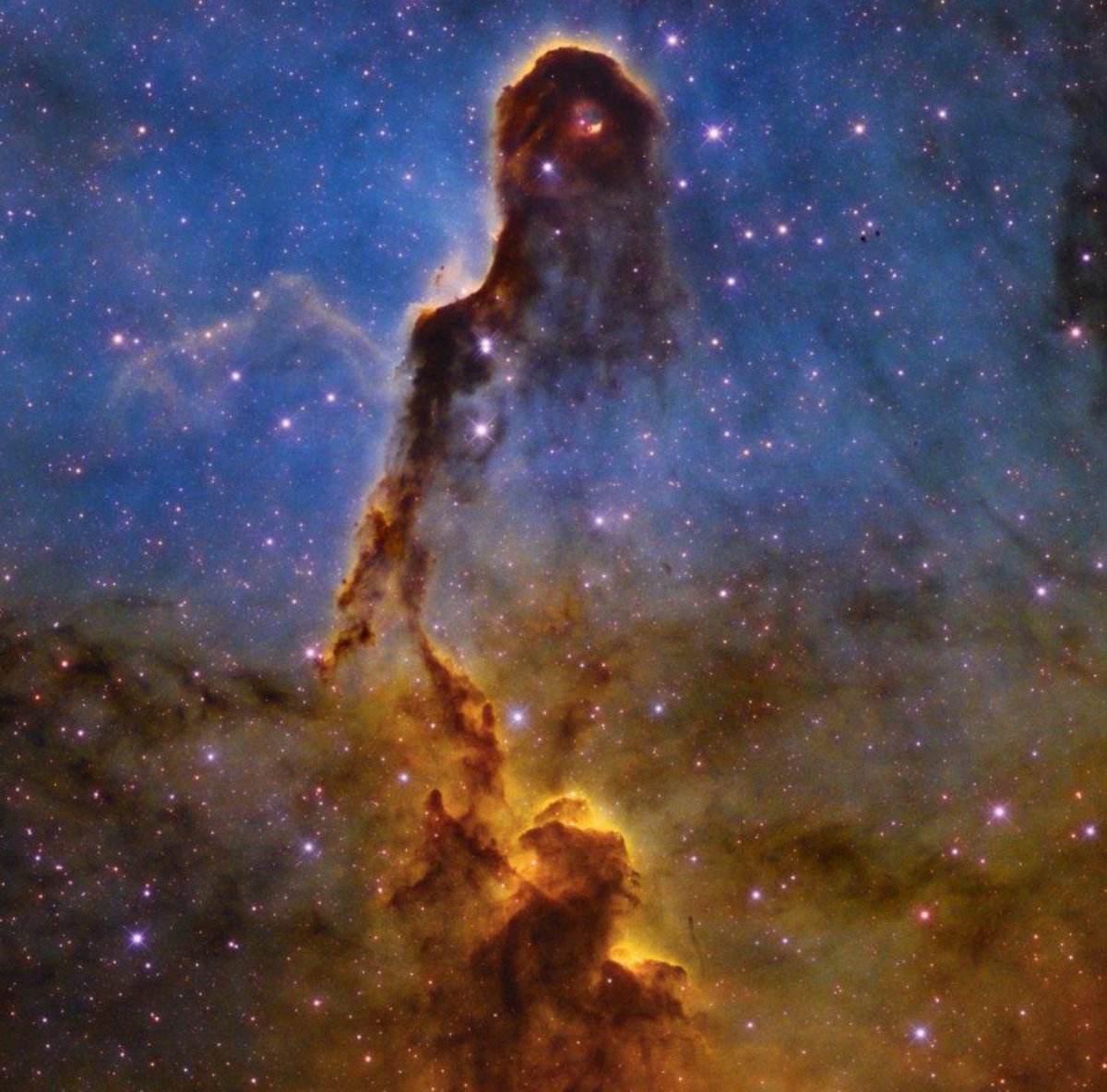 FactWireFW's tweet photo. This looks like a giant creature floating in space. 👀🌌
It’s actually the Elephant’s Trunk Nebula — a huge cloud of gas and dust where young stars are forming.
The “trunk” stretches for more than 20 light-years.
Space is absolutely unreal. 🤯

#Space #NASA #Astronomy https://t.co/UrmgEjpQDy