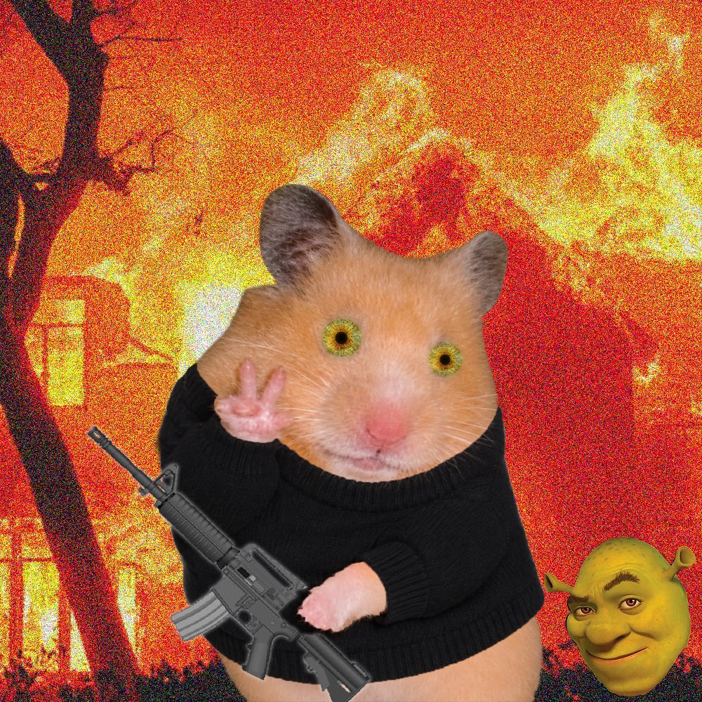 CashHamster_'s tweet photo. Cash hamsters are must in a bug🐹✌️

Got it 🔫 https://t.co/xWFZYvqDwo