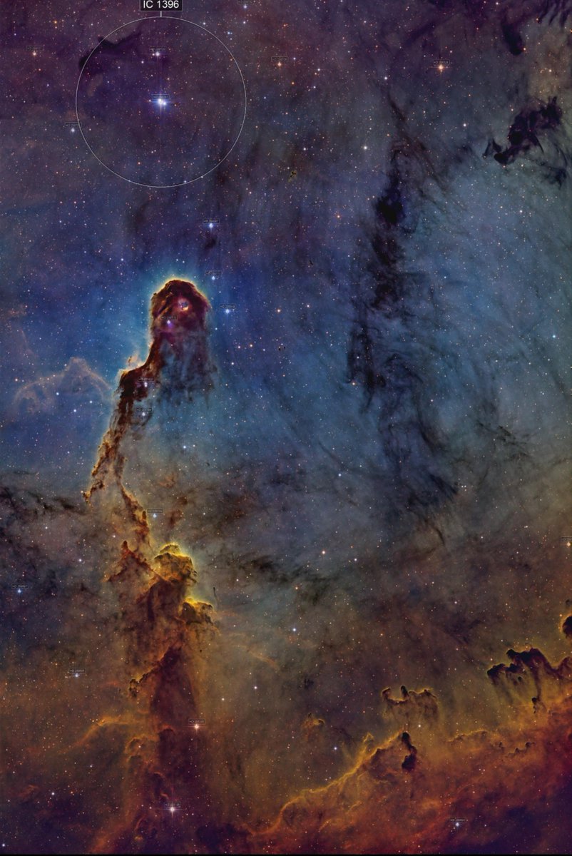 FactWireFW's tweet photo. This looks like a giant creature floating in space. 👀🌌
It’s actually the Elephant’s Trunk Nebula — a huge cloud of gas and dust where young stars are forming.
The “trunk” stretches for more than 20 light-years.
Space is absolutely unreal. 🤯

#Space #NASA #Astronomy https://t.co/UrmgEjpQDy