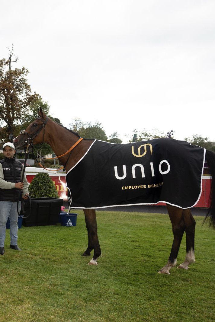 LeopardstownRC's tweet photo. Naoi gets the job done in the Unio Employee Benefits Handicap! 🏇⚽️

A winning ride from Sam Coen for trainer Willie McCreery and owner Ian Rush. 👏

What a way to score a winner for the Liverpool legend! 🔴 https://t.co/kXKZ8OhKMT