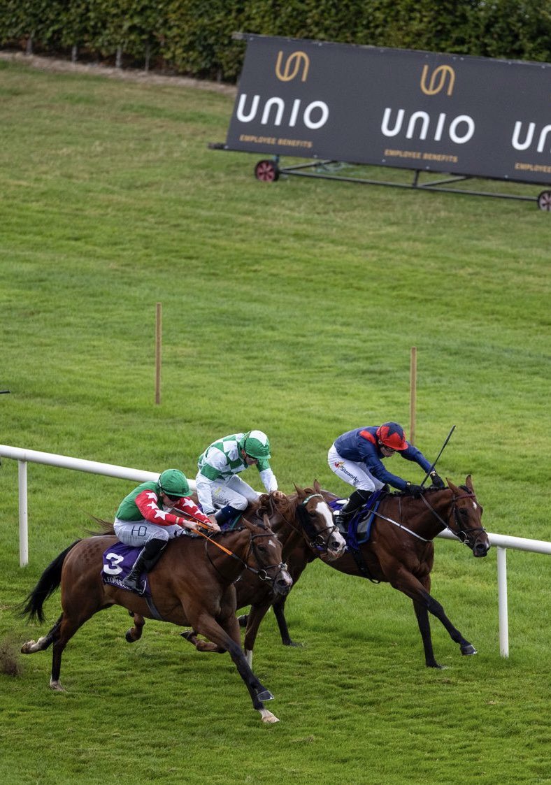 LeopardstownRC's tweet photo. Naoi gets the job done in the Unio Employee Benefits Handicap! 🏇⚽️

A winning ride from Sam Coen for trainer Willie McCreery and owner Ian Rush. 👏

What a way to score a winner for the Liverpool legend! 🔴 https://t.co/kXKZ8OhKMT