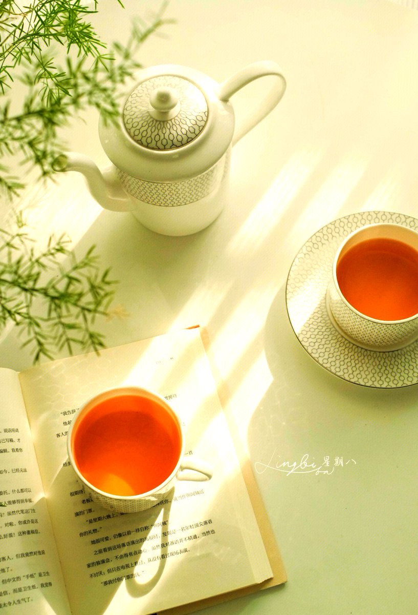 MalikAhdan's tweet photo. [Had a long day, just curled up with my favorite tea and a book—small moments hit different. ]， https://t.co/nUAuSUYABY