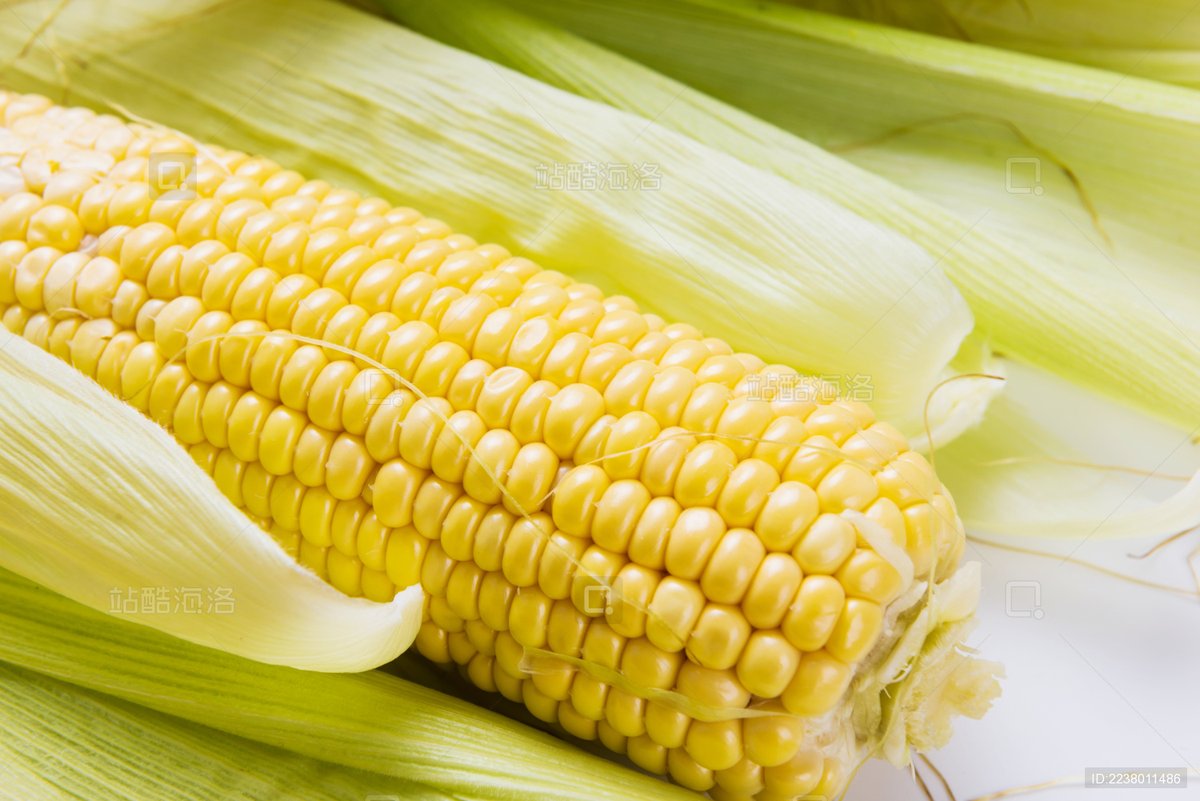 alain_loriaux's tweet photo. Just tried the new organic sweet corn from local farms—super juicy, naturally sweet with zero added sugar. Perfect for quick weeknight meals or straight off the cob!  #FreshFood #LocalProduce， https://t.co/EVkUpkDffQ