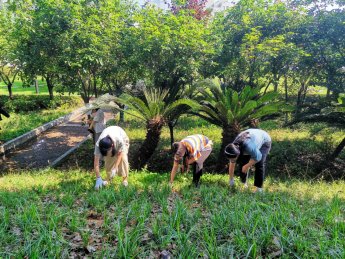 YAlmryd's tweet photo. Join our neighborhood clean-up this Sat (9AM) at Central Park! Free snacks u0026 new friends await. Bring gloves, just show up! https://t.co/yZJIIJujhH