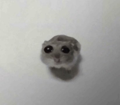 babyundomiel's tweet photo. i dont have anything to post today sorry #fernandotwt im the worst https://t.co/ztnqxKfyT7
