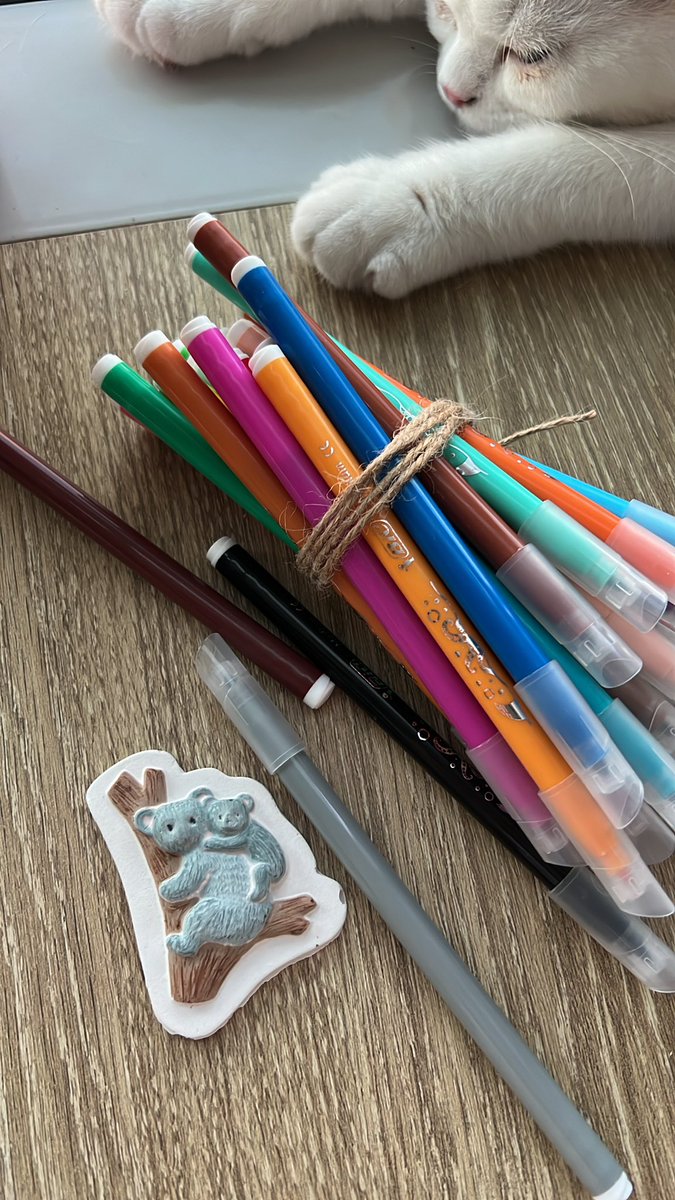 elifsenna__'s tweet photo. 🐨🦥🤍 https://t.co/DT4bqt2dNj