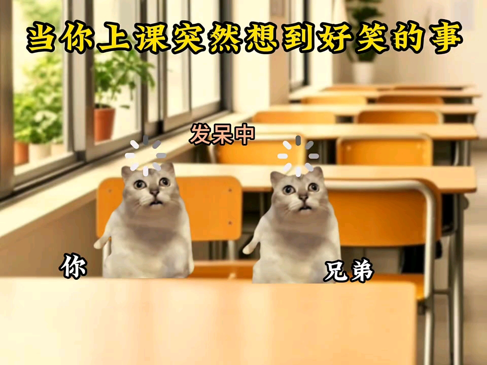 Thechipie3's tweet photo. When your group project teammate "totally remembers" finishing their part… and it’s just 3 bullet points of cat memes. https://t.co/rmPbZDntp9