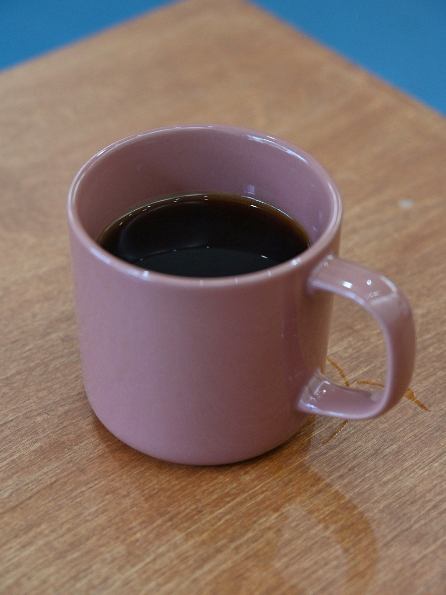 AnnitaMeadcfw6's tweet photo. Just tried the new zero-waste coffee brewing kit at the neighborhood café—no messy filters, full rich flavor, and it keeps my drink hot twice as long. Game changer for my morning routine!， https://t.co/iVFq0tqQk9