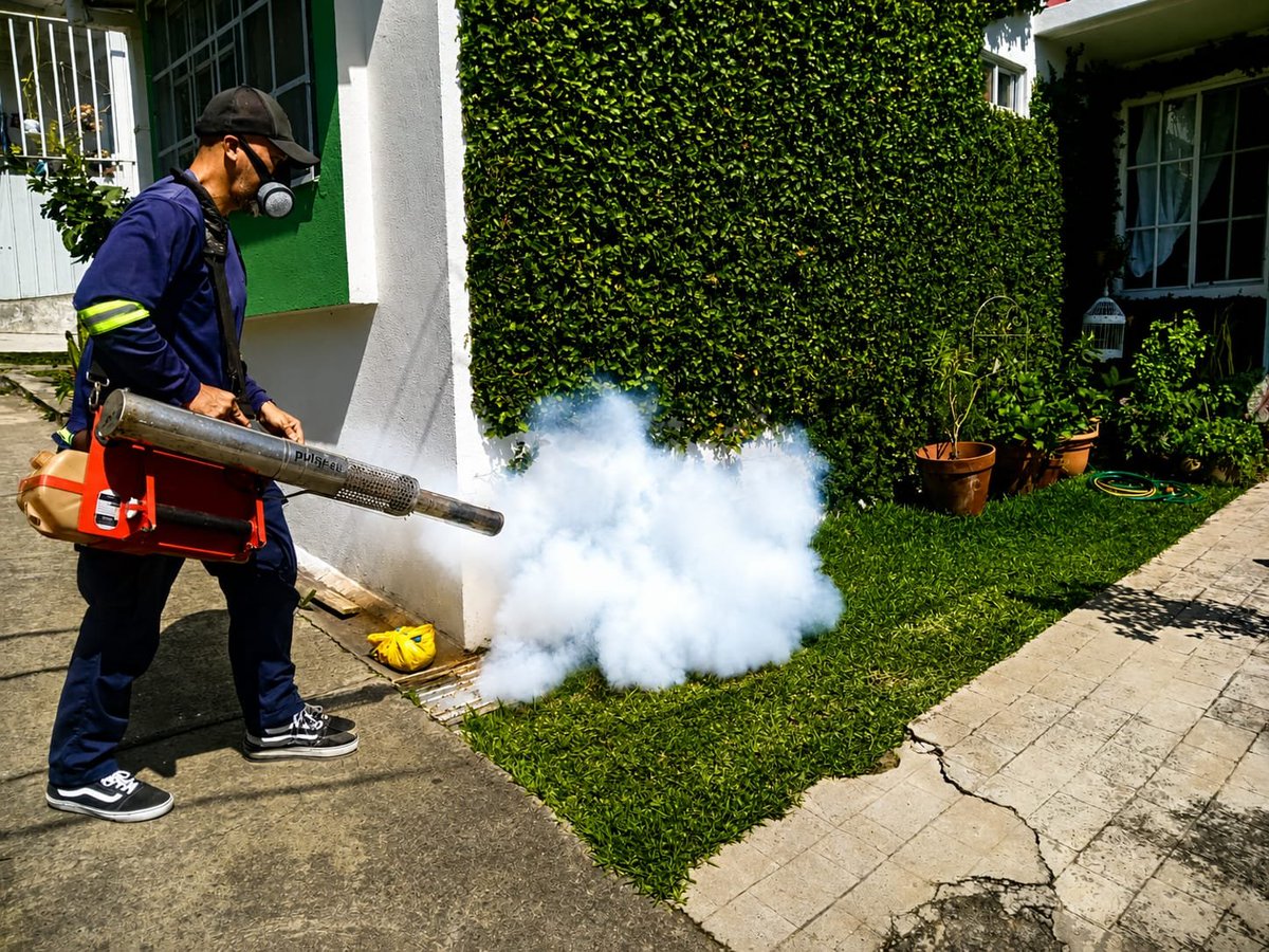 D_Capitalino's tweet photo. La alcaldía de San Salvador Centro desarrolla una jornada de fumigación en la residencial Lomas de San Francisco, Zona 4, beneficiando a más de 200 familias y evitando la proliferación de vectores transmisores de enfermedades. https://t.co/ZHG1ACq4eA