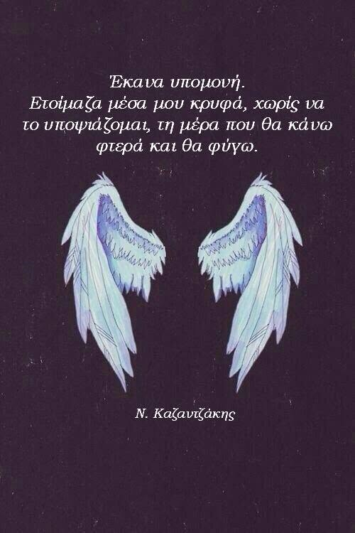 VJwyZILzcYJ3s4L's tweet photo. Καληνυχτα καρδιας..💗 https://t.co/vrenqqIh2Y