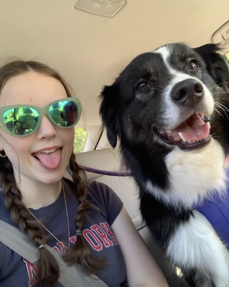 KatePawssn4's tweet photo. It's the crazy dog mom hope you guys will love to watch my K9 videos click the link below to join my telegram now👇🏻
https://t.co/fyj1P8shb6 https://t.co/HuCHk6O1Pl