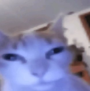 NoebenjaminCor1's tweet photo. @tankahma @esjesjesj He would probably find it funny to see someone dancing with a picture of a trans person who had committed suicide behind them. https://t.co/Jc8xXFAC9Y